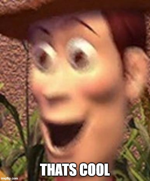 woah | THATS COOL | image tagged in woah | made w/ Imgflip meme maker