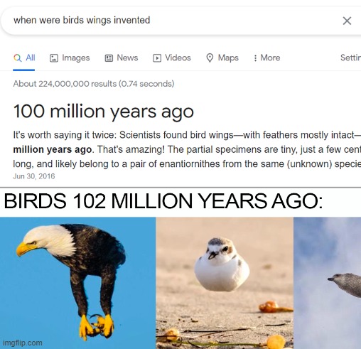 Dem Birds... | image tagged in funny memes,birds,hilarious,awesome,inventions,lol so funny | made w/ Imgflip meme maker