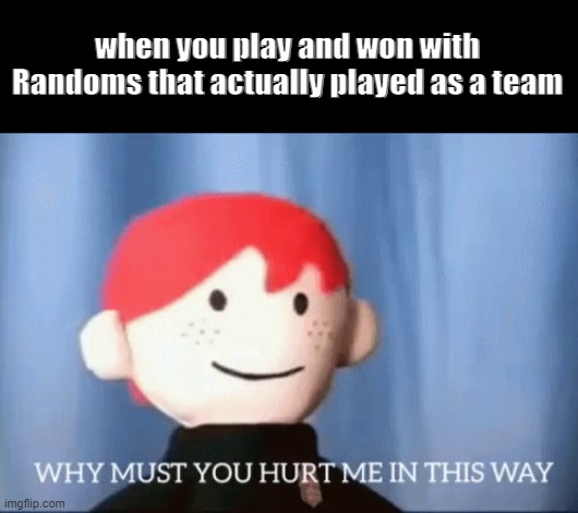 why must you hurt me in this way | when you play and won with Randoms that actually played as a team | image tagged in why must you hurt me in this way | made w/ Imgflip meme maker