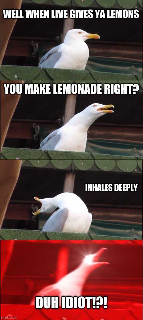 Inhaling Seagull | WELL WHEN LIVE GIVES YA LEMONS; YOU MAKE LEMONADE RIGHT? INHALES DEEPLY; DUH IDIOT!?! | image tagged in memes,inhaling seagull | made w/ Imgflip meme maker