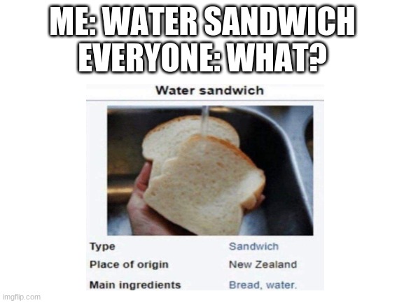 ? | ME: WATER SANDWICH
EVERYONE: WHAT? | image tagged in funny | made w/ Imgflip meme maker