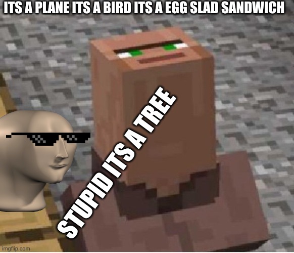 stupiddd | ITS A PLANE ITS A BIRD ITS A EGG SLAD SANDWICH; STUPID ITS A TREE | image tagged in minecraft villager looking up | made w/ Imgflip meme maker