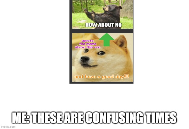 HEH?!?! | ME: THESE ARE CONFUSING TIMES | image tagged in memes | made w/ Imgflip meme maker
