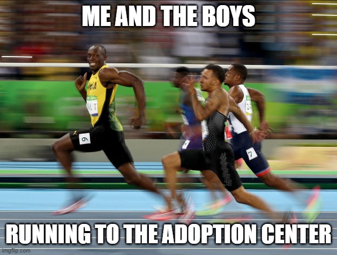 Usain Bolt running | ME AND THE BOYS RUNNING TO THE ADOPTION CENTER | image tagged in usain bolt running | made w/ Imgflip meme maker