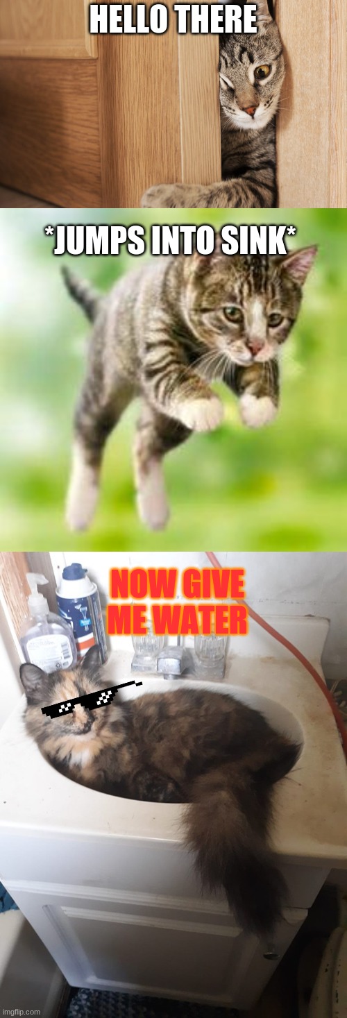 HELLO THERE *JUMPS INTO SINK* NOW GIVE ME WATER | image tagged in sink cat | made w/ Imgflip meme maker