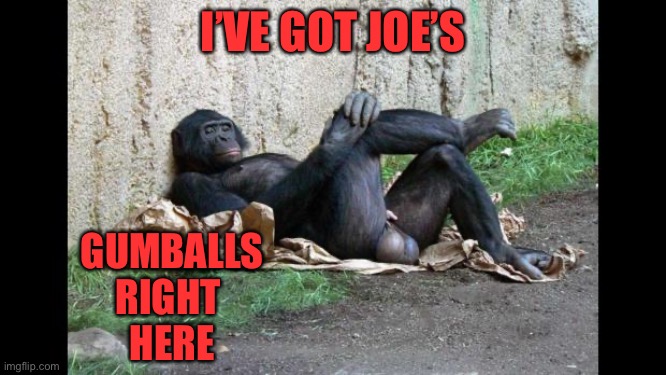 Big balls gorilla | I’VE GOT JOE’S GUMBALLS
RIGHT 
HERE | image tagged in big balls gorilla | made w/ Imgflip meme maker