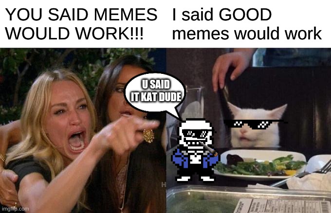 Woman Yelling At Cat | YOU SAID MEMES WOULD WORK!!! I said GOOD memes would work; U SAID IT KAT DUDE | image tagged in memes,woman yelling at cat | made w/ Imgflip meme maker