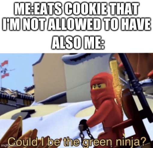 the cookie im not allowed to have | ME:EATS COOKIE THAT I'M NOT ALLOWED TO HAVE; ALSO ME: | image tagged in could i be the green ninja | made w/ Imgflip meme maker