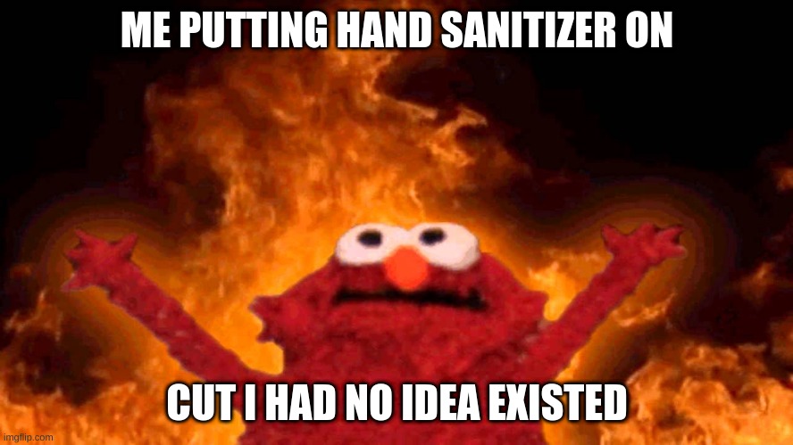 elmo fire | ME PUTTING HAND SANITIZER ON; CUT I HAD NO IDEA EXISTED | image tagged in elmo fire | made w/ Imgflip meme maker