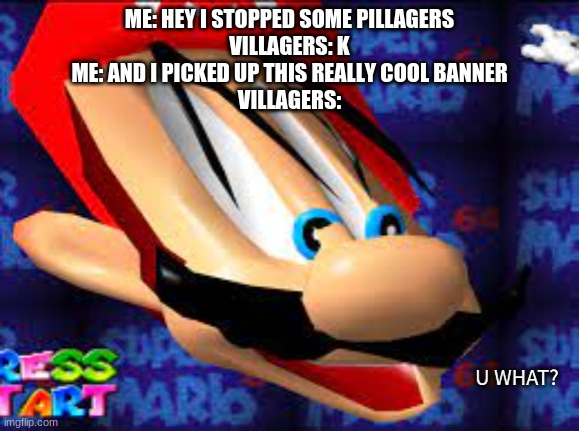 Mario Face U what? | ME: HEY I STOPPED SOME PILLAGERS
VILLAGERS: K
ME: AND I PICKED UP THIS REALLY COOL BANNER
VILLAGERS: | image tagged in mario face u what | made w/ Imgflip meme maker