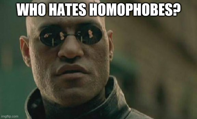 HMMM? | WHO HATES HOMOPHOBES? | image tagged in who,join my stream than | made w/ Imgflip meme maker