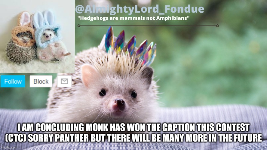 Fondue hedgehog temp | I AM CONCLUDING MONK HAS WON THE CAPTION THIS CONTEST (CTC) SORRY PANTHER BUT THERE WILL BE MANY MORE IN THE FUTURE | image tagged in fondue hedgehog temp | made w/ Imgflip meme maker
