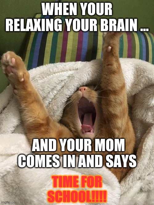 Ginger Cat In Bed | WHEN YOUR RELAXING YOUR BRAIN ... AND YOUR MOM COMES IN AND SAYS; TIME FOR SCHOOL!!!! | image tagged in ginger cat in bed | made w/ Imgflip meme maker