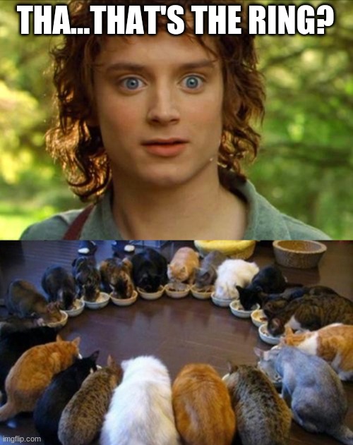 THA...THAT'S THE RING? | image tagged in memes,surpised frodo | made w/ Imgflip meme maker