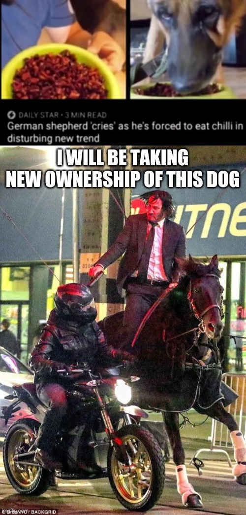 I actually once owned a German Shepherd | I WILL BE TAKING NEW OWNERSHIP OF THIS DOG | image tagged in john wick horse,dog whine,german shepherd | made w/ Imgflip meme maker