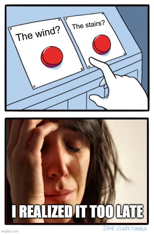 Two Buttons Meme | The wind? The stairs? I REALIZED IT TOO LATE | image tagged in memes,two buttons | made w/ Imgflip meme maker