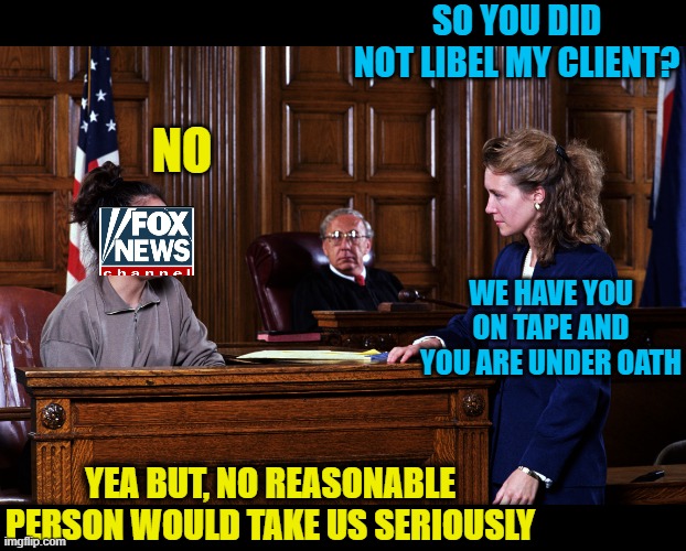 Hopefully soon sued into oblivion | SO YOU DID NOT LIBEL MY CLIENT? NO; WE HAVE YOU ON TAPE AND YOU ARE UNDER OATH; YEA BUT, NO REASONABLE PERSON WOULD TAKE US SERIOUSLY | image tagged in courtroom,fox news,media,liars,memes,politics | made w/ Imgflip meme maker