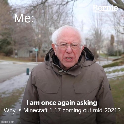 Why is Minecraft 1.17 coming out mid-2021? | Me:; Why is Minecraft 1.17 coming out mid-2021? | image tagged in memes,bernie i am once again asking for your support,gaming | made w/ Imgflip meme maker