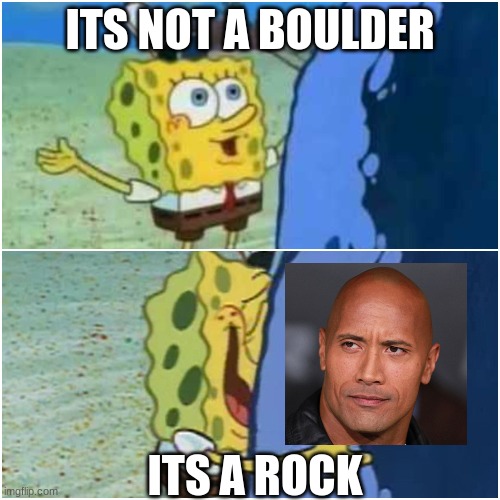 It's a Rock | ITS NOT A BOULDER; ITS A ROCK | image tagged in it's a rock | made w/ Imgflip meme maker