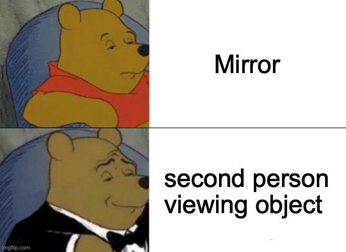 Tuxedo Winnie The Pooh Meme | Mirror; second person viewing object | image tagged in memes,tuxedo winnie the pooh | made w/ Imgflip meme maker