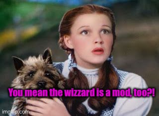 What is Going On | You mean the wizzard is a mod, too?! | image tagged in what is going on | made w/ Imgflip meme maker