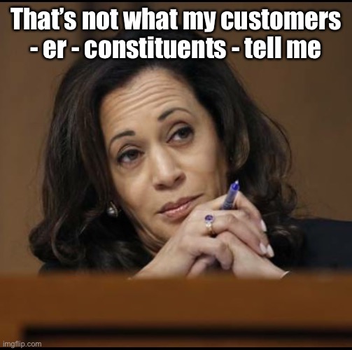Kamala Harris  | That’s not what my customers - er - constituents - tell me | image tagged in kamala harris | made w/ Imgflip meme maker