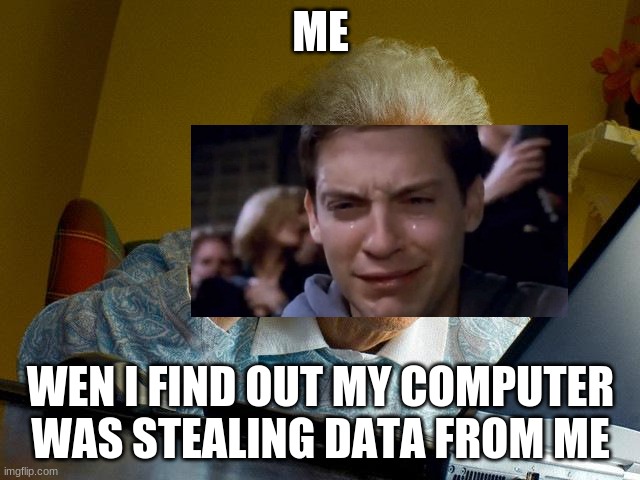 Grandma Finds The Internet | ME; WEN I FIND OUT MY COMPUTER WAS STEALING DATA FROM ME | image tagged in memes,grandma finds the internet | made w/ Imgflip meme maker
