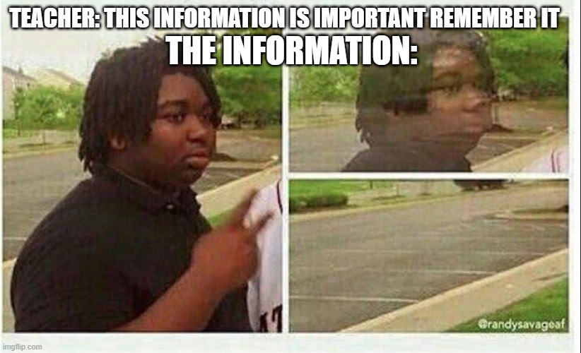 reeeee | THE INFORMATION:; TEACHER: THIS INFORMATION IS IMPORTANT REMEMBER IT | image tagged in black guy disappearing,memes | made w/ Imgflip meme maker
