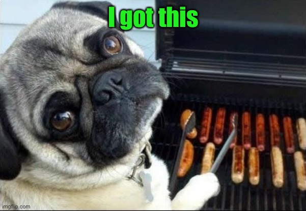 Dog cooking bbq | I got this | image tagged in dog cooking bbq | made w/ Imgflip meme maker