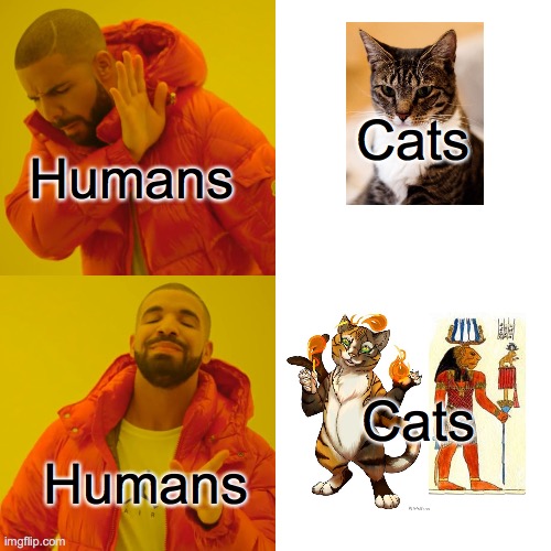 Cats? | Cats; Humans; Cats; Humans | image tagged in memes,drake hotline bling | made w/ Imgflip meme maker