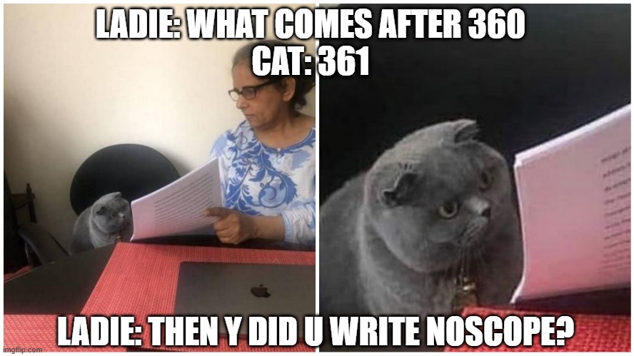cat fat fail | LADIE: WHAT COMES AFTER 360
CAT: 361; LADIE: THEN Y DID U WRITE NOSCOPE? | image tagged in cat fat fail | made w/ Imgflip meme maker