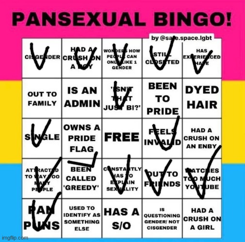 they forgot the most famous phases "So does that mean you like pans-" "Its just a phase" | image tagged in pansexual bingo | made w/ Imgflip meme maker