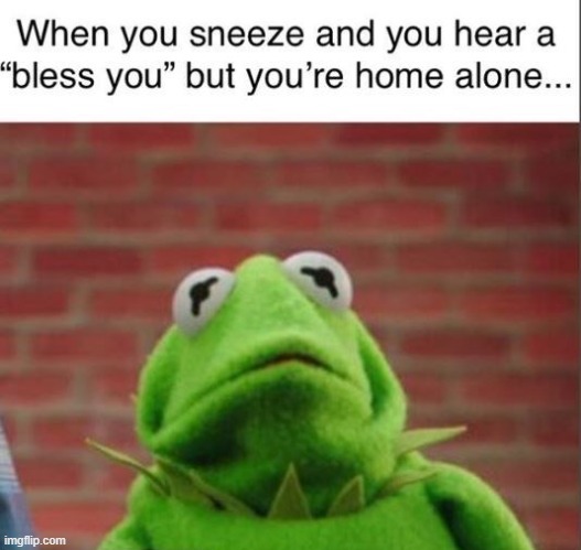 I live alone | image tagged in kermit,sneeze,home alone | made w/ Imgflip meme maker