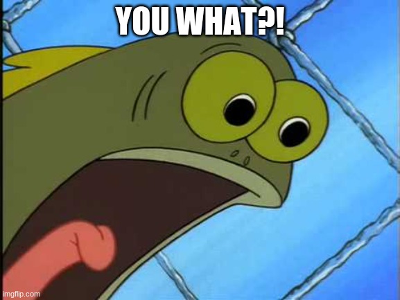 You what?! | YOU WHAT?! | image tagged in you what | made w/ Imgflip meme maker
