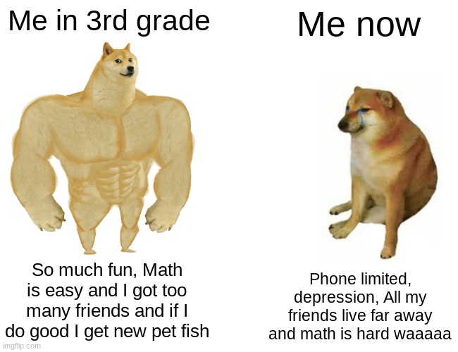 I have a question for the lord. WHY?! | Me in 3rd grade; Me now; So much fun, Math is easy and I got too many friends and if I do good I get new pet fish; Phone limited, depression, All my friends live far away and math is hard waaaaa | image tagged in memes,buff doge vs cheems,school | made w/ Imgflip meme maker