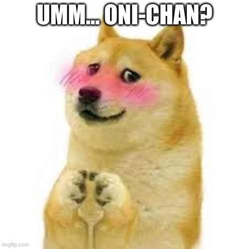 UMM... ONI-CHAN? | image tagged in doge | made w/ Imgflip meme maker