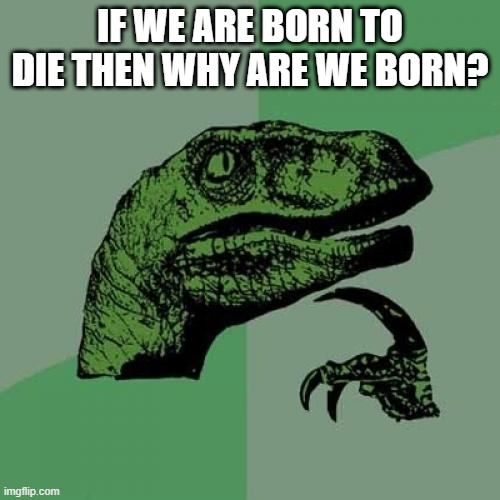 wow | IF WE ARE BORN TO DIE THEN WHY ARE WE BORN? | image tagged in memes,philosoraptor | made w/ Imgflip meme maker