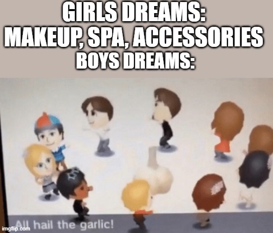 All Hail The Garlic! | GIRLS DREAMS: MAKEUP, SPA, ACCESSORIES; BOYS DREAMS: | image tagged in all hail the garlic | made w/ Imgflip meme maker