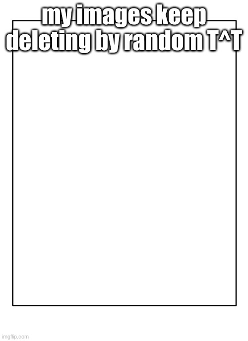 Blank Template | my images keep deleting by random T^T | image tagged in blank template | made w/ Imgflip meme maker