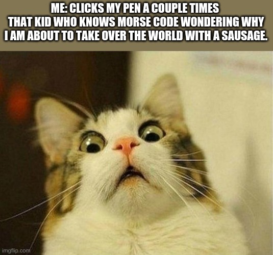 Hold up | ME: CLICKS MY PEN A COUPLE TIMES 
THAT KID WHO KNOWS MORSE CODE WONDERING WHY I AM ABOUT TO TAKE OVER THE WORLD WITH A SAUSAGE. | image tagged in memes,scared cat | made w/ Imgflip meme maker