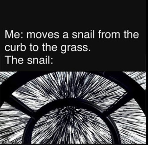 Lightspeed Snail | image tagged in to infinity and beyond boi,one snaily boi | made w/ Imgflip meme maker