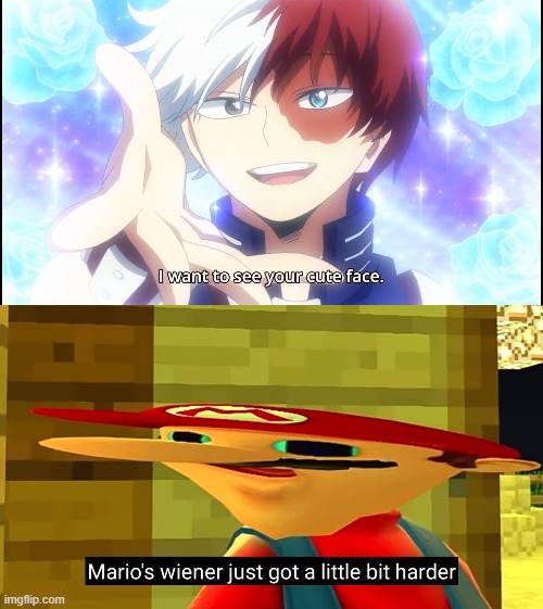 Half-Cold     ABSOLUTE-Hot! | image tagged in marios weiner just got a little bit harder,hot,anime,my hero academia,todoroki,husbando | made w/ Imgflip meme maker