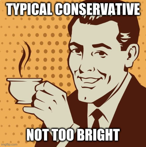 must be brain injury day in the politics stream, sad | TYPICAL CONSERVATIVE; NOT TOO BRIGHT | image tagged in mug approval | made w/ Imgflip meme maker