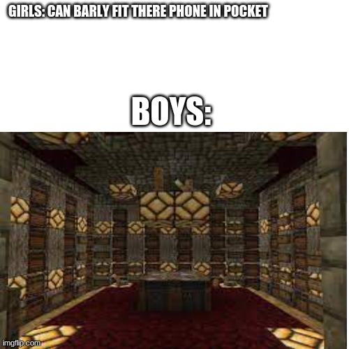 pockets | GIRLS: CAN BARLY FIT THERE PHONE IN POCKET; BOYS: | image tagged in minecraft,boys vs girls,pocket | made w/ Imgflip meme maker