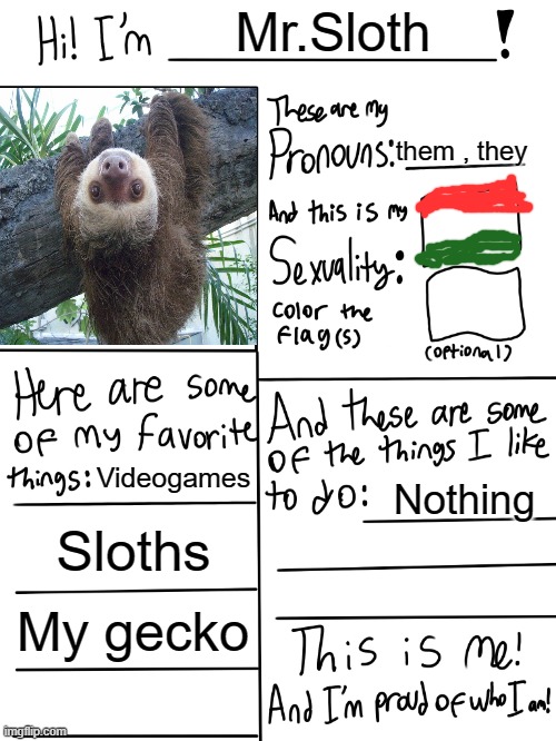 This is Me | Mr.Sloth; them , they; Videogames; Nothing; Sloths; My gecko | image tagged in lgbtq stream account profile | made w/ Imgflip meme maker