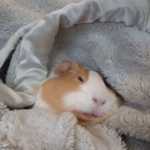 Me when I wake up | image tagged in me when i wake up | made w/ Imgflip meme maker