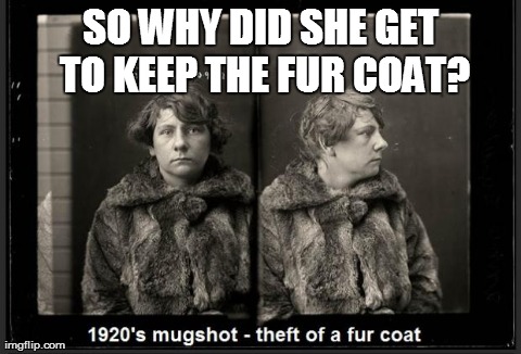Furry make nice coat - Imgflip