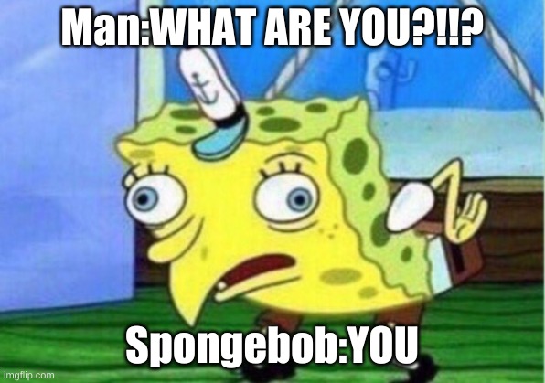 Mocking Spongebob | Man:WHAT ARE YOU?!!? Spongebob:YOU | image tagged in memes,mocking spongebob | made w/ Imgflip meme maker