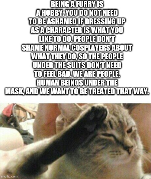 *sniff* :,) | BEING A FURRY IS A HOBBY. YOU DO NOT NEED TO BE ASHAMED IF DRESSING UP AS A CHARACTER IS WHAT YOU LIKE TO DO. PEOPLE DON'T SHAME NORMAL COSPLAYERS ABOUT WHAT THEY DO, SO THE PEOPLE UNDER THE SUITS DON'T NEED TO FEEL BAD. WE ARE PEOPLE, HUMAN BEINGS UNDER THE MASK, AND WE WANT TO BE TREATED THAT WAY. | image tagged in cat of honor,proud,speech | made w/ Imgflip meme maker