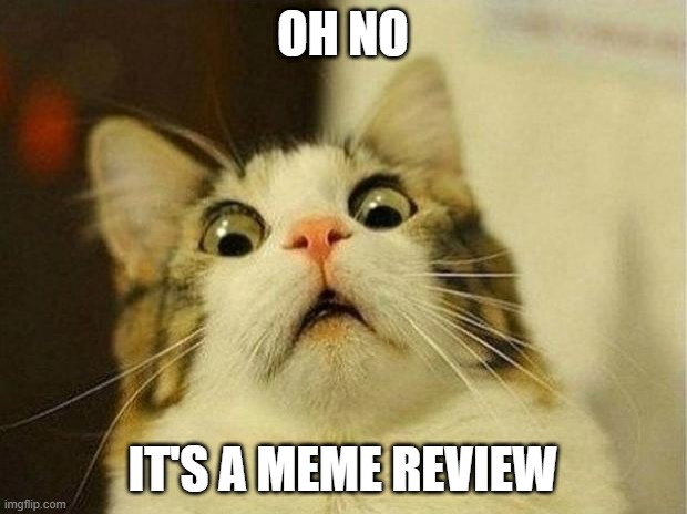 Scared Cat Meme | OH NO; IT'S A MEME REVIEW | image tagged in memes,scared cat | made w/ Imgflip meme maker